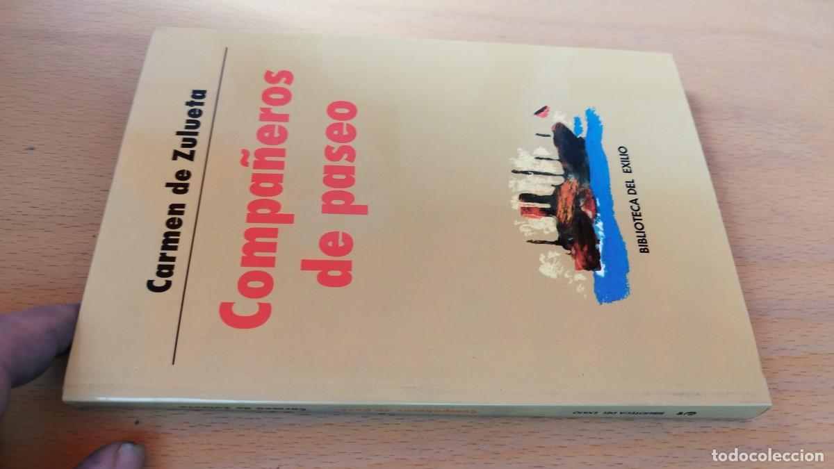 Libros de segunda mano: COMPA&Ntilde;EROS DE PASEO / CARMEN DE ZULUETA / KARA 13-14 / RENACIMIENTO