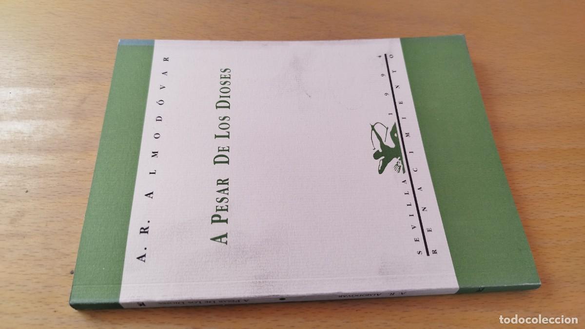Libros de segunda mano: A PESAR DE LOS DIOSES / A.R.ALMODOVAR / KARA 15-16 / RENACIMIENTO