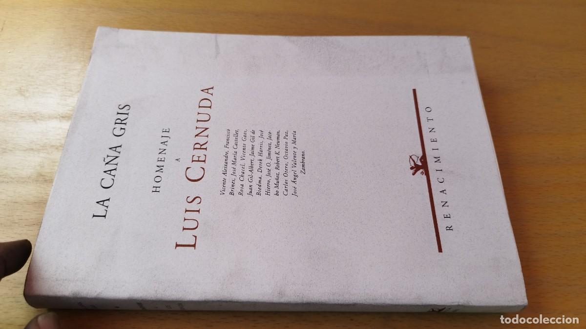 Libros de segunda mano: LA CA&Ntilde;A GRIS HOMENAJE A LUIS CERNUDA / JACOBO MU&Ntilde;OZ / KARA 15-16 / RENACIMIENTO