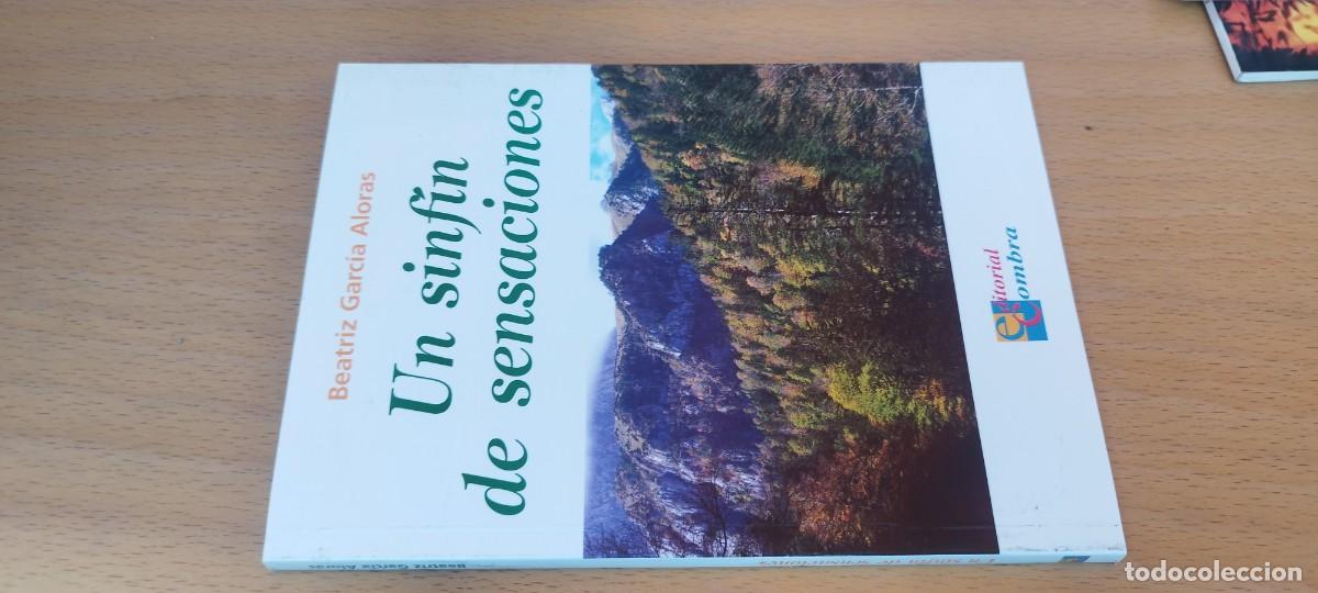 Libros de segunda mano: UN SINF&Iacute;N DE SENSACIONES / BEATRIZ GARCIA ALORAS / KARA 70 /