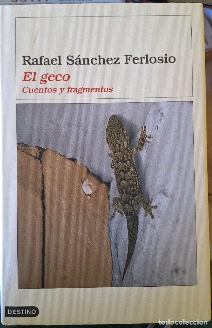 Libros de segunda mano: EL GECO. CUENTOS Y FRAGMENTOS. - SANCHEZ FERLOSIO, Rafael.