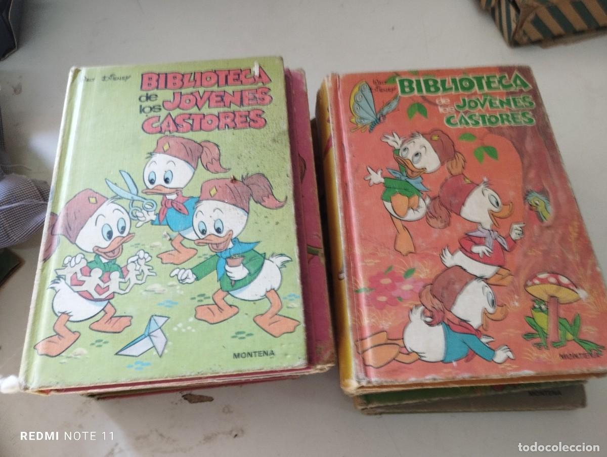 Libros de segunda mano: BIBLIOTECA JOVENES CASTORES -11 VOLUMENES (1,2,4,7,8,9 AL 13,15)