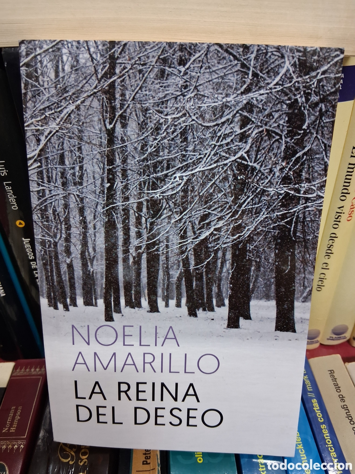 Libros de segunda mano: La reina del deseo - Noelia Amarillo - Roca editorial