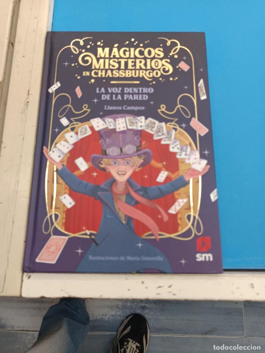 Libros de segunda mano: MAGICOS MISTERIOS EN CHASSBURGO (LA VOZ DENTRO DE LA PARED) LLANOS CAMPOS SM