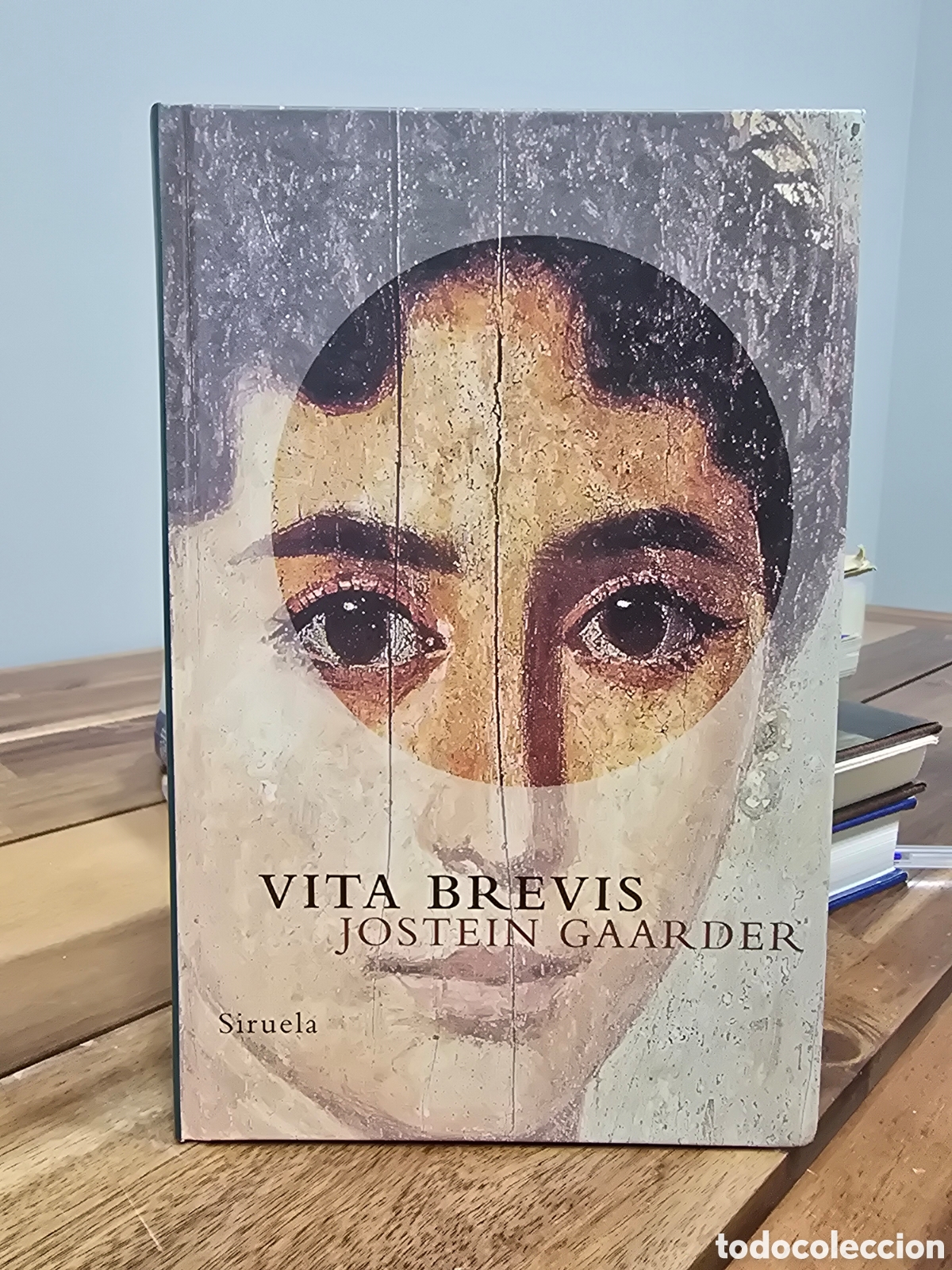 Libros de segunda mano: VITA BREVIS Jostein Gaarder Siruela 2da edicion 1997 novela tapa dura