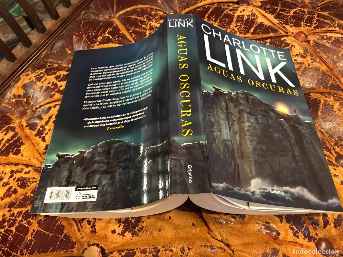 Libros de segunda mano: CHARLOTTE LINK. AGUAS OSCURAS. 2025
