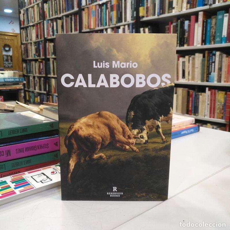 Livros em segunda m&atilde;o: Calabobos. - Luis Mario.