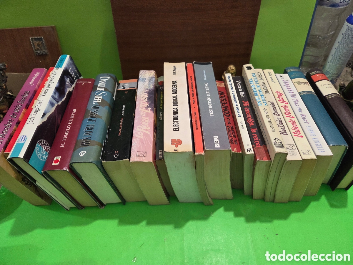 Libros de segunda mano: LOTE N&Uacute;MERO 17...&rdquo;&rdquo;20 LIBROS DE LITERATURA&rdquo;&rdquo;... DIFERENTES AUTORES Y DIFERENTES EDITORIALES...
