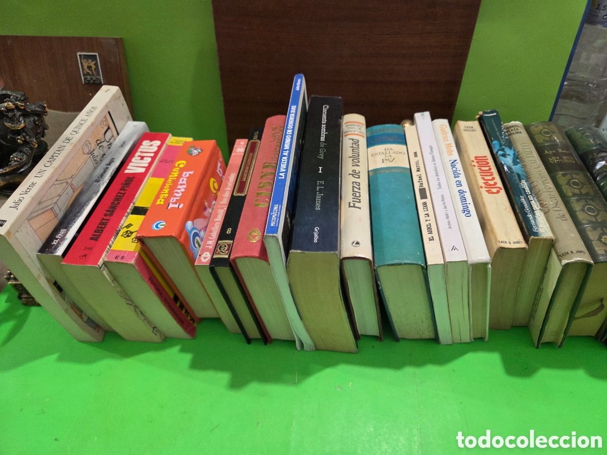 Libros de segunda mano: LOTE N&deg;19...&rdquo;&rdquo;LOTE DE 20 LIBROS DE LITERATURA&rdquo;&rdquo;...DIFERENTES AUTORES Y DIFERENTES EDITORIALES....