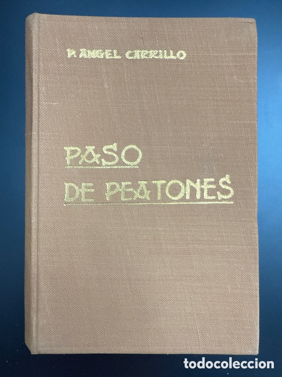 Libros de segunda mano: CARRILLO SEVILLANO, &Aacute;ngel. Paso de peatones: Cristo de la calle: &iexcl;Por favor: por aqu&iacute;!