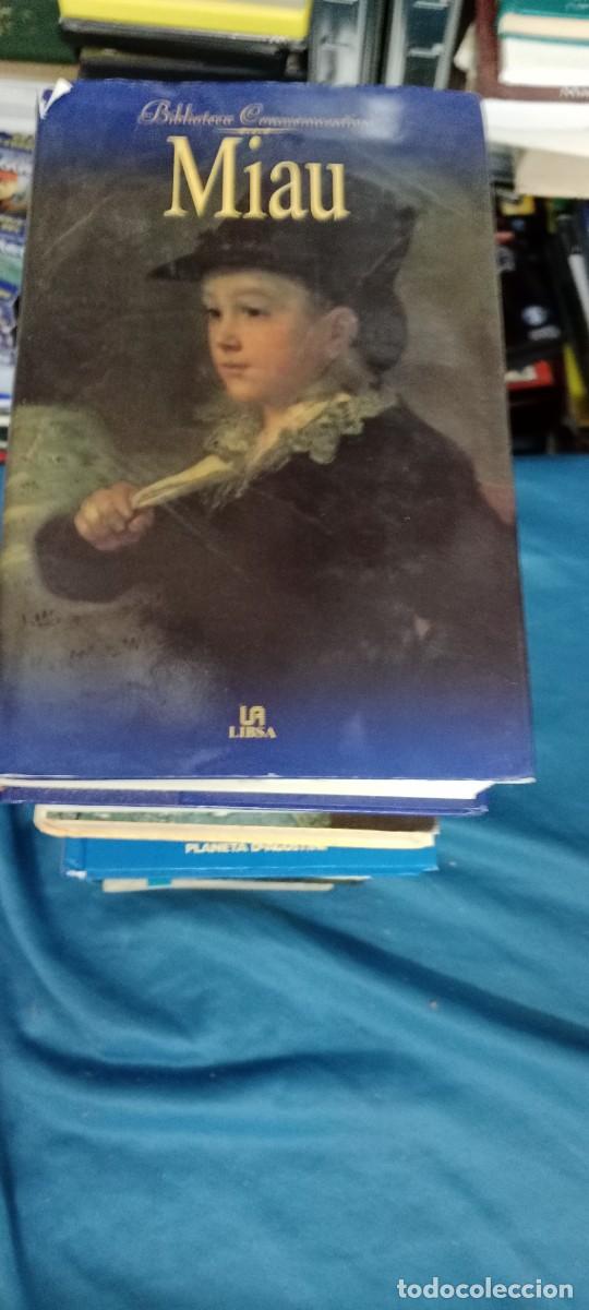 Libros de segunda mano: MIAU LIBSA LIBRO GG-BTJ