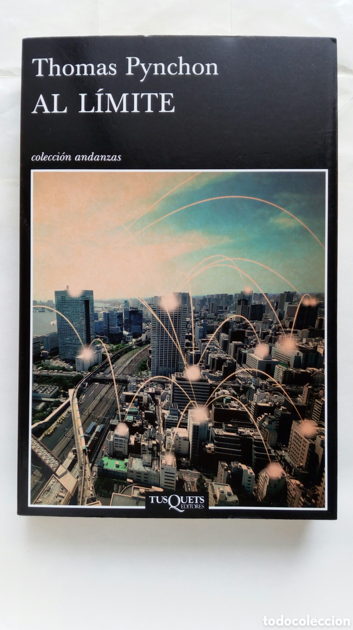 Libros de segunda mano: Al l&iacute;mite. Thomas Pynchon.
