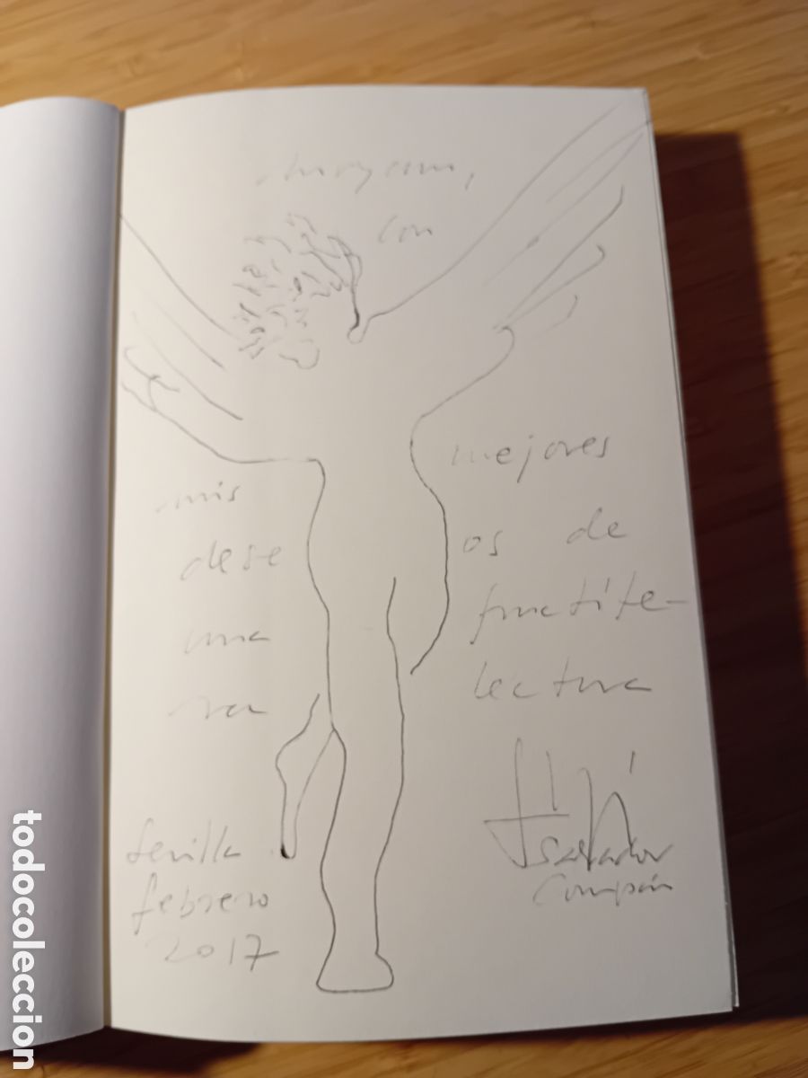 Libros de segunda mano: Palabras insensatas que t&uacute; comprender&aacute;s - Salvador Comp&aacute;n (Almuzara 2012) Dedicatoria aut&oacute;grafa