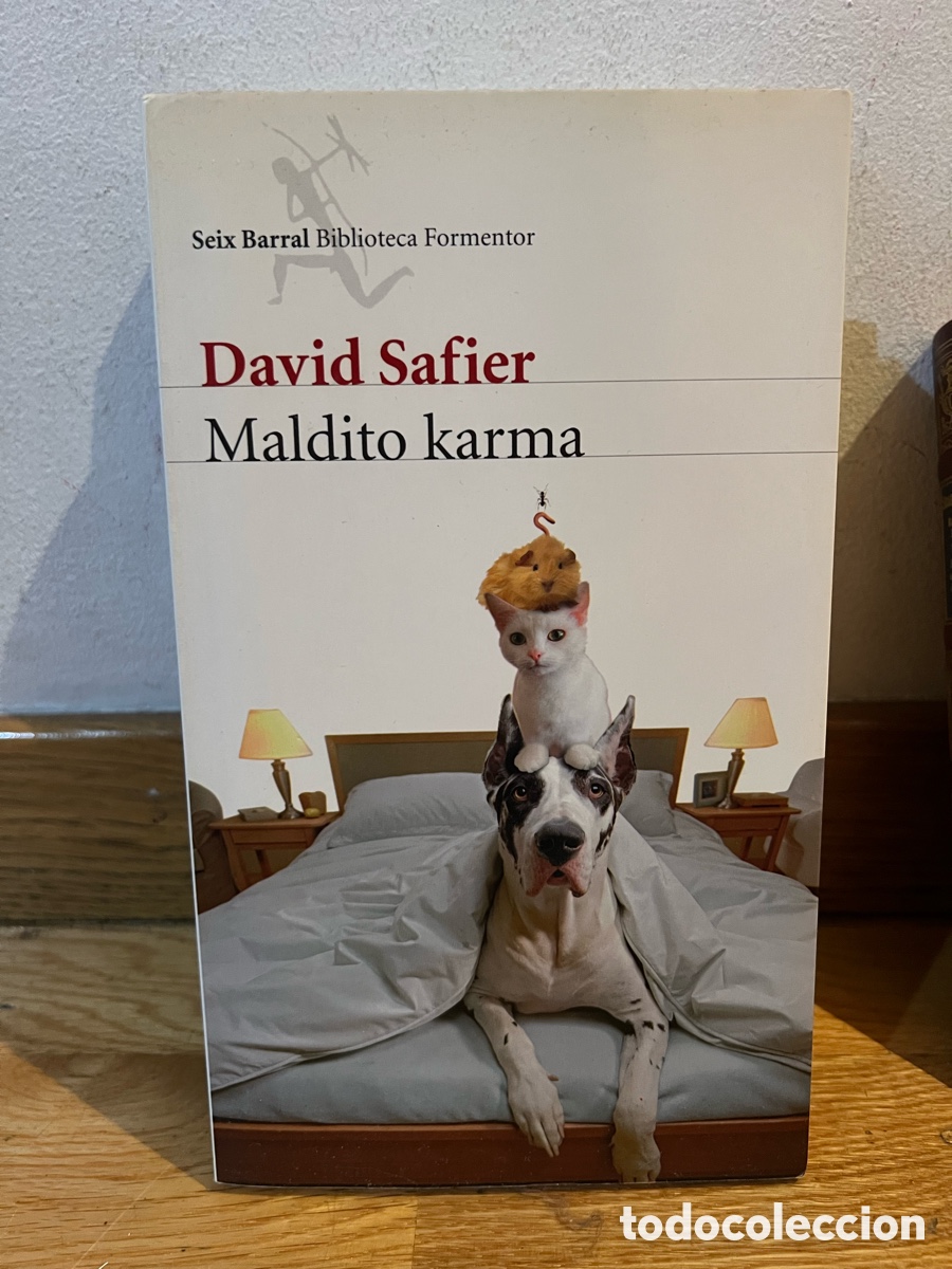 Libros de segunda mano: David Safier Maldito karma