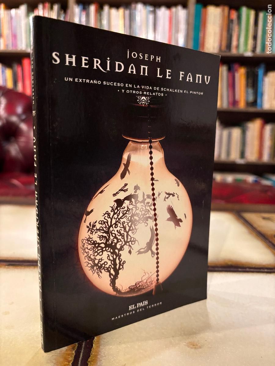 Libros de segunda mano: Un extra&ntilde;o suceso en la vida de Schalken el pintor. Joseph Sheridan Le Fanu. PEDIDO M&Iacute;NIMO 5&euro;