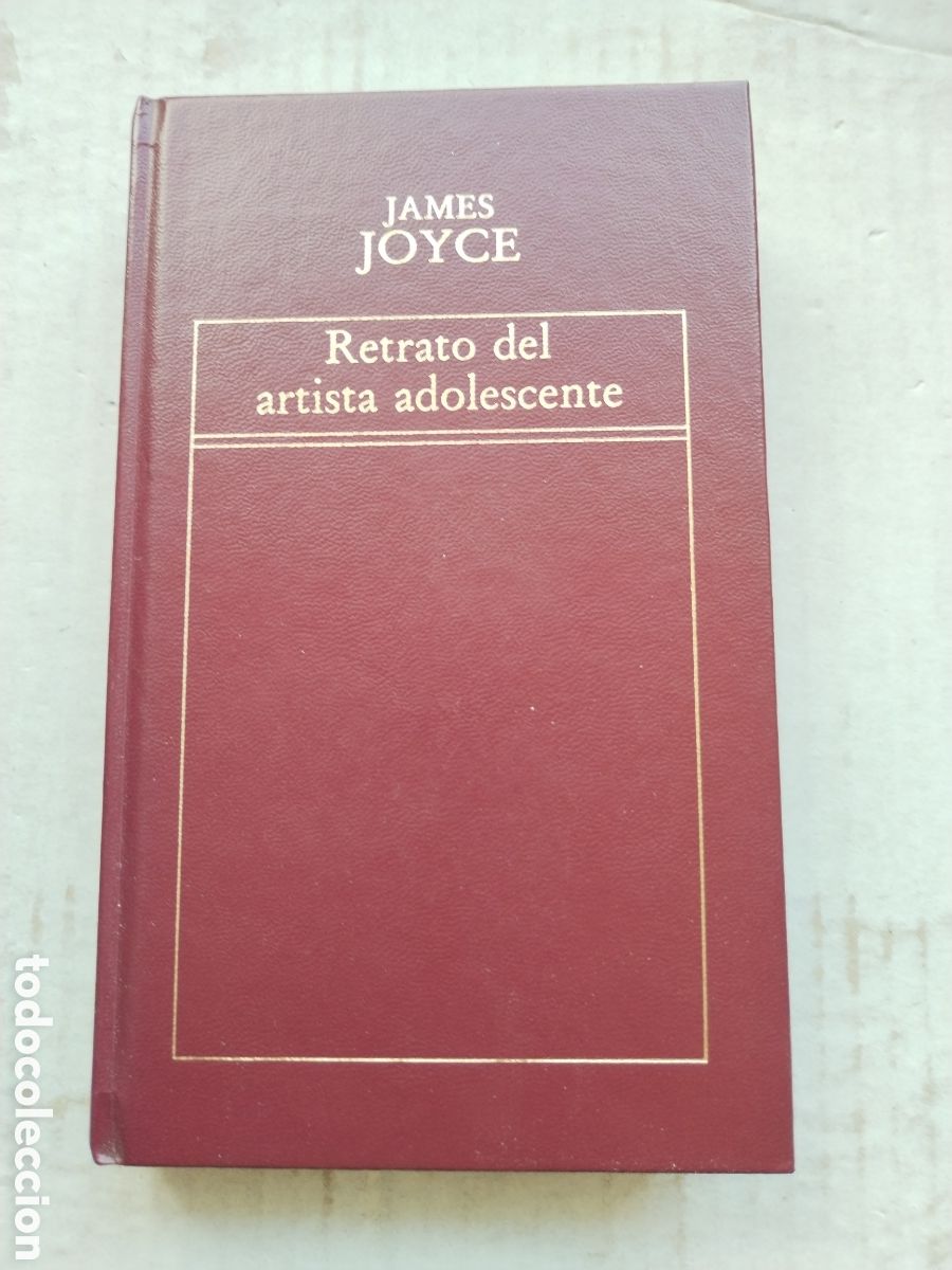Libros de segunda mano: RETRATO DEL ARTISTAS ADOLESCENTE/JAMES JOYCE