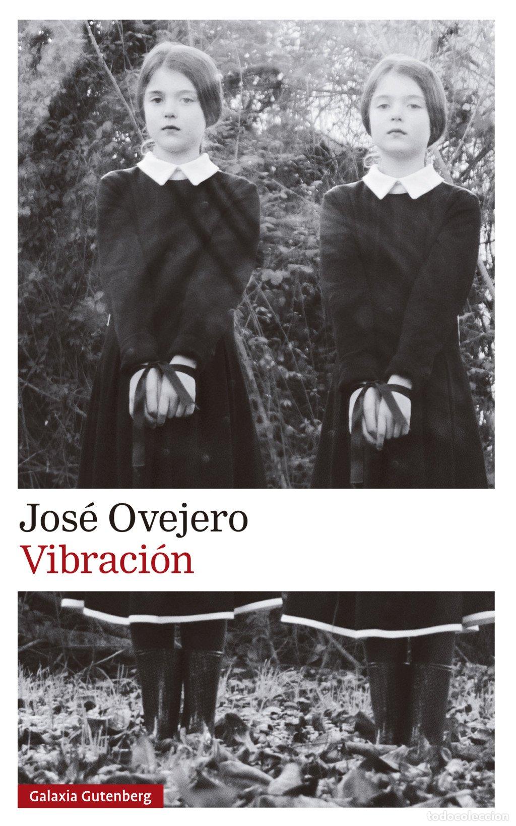 Libros de segunda mano: Vibraci&oacute;n - Jos&eacute; Ovejero - Galaxia Gutenberg - Narrativa, 335