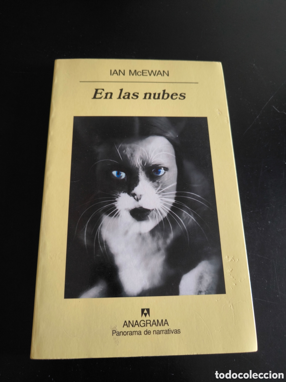 Libros de segunda mano: En las nubes. Ian mcewan
