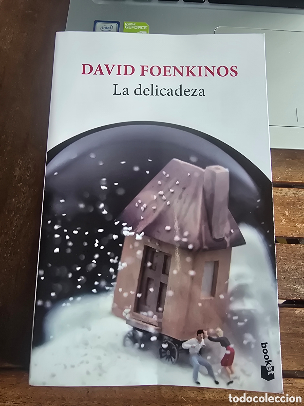 Libros de segunda mano: La delicadeza Foenkinos, David BOOKET 2022 Novela paris