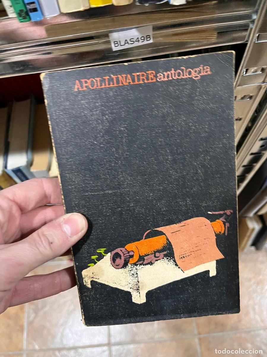 Libros de segunda mano: BLAS49B APOLLINAIRE antologia