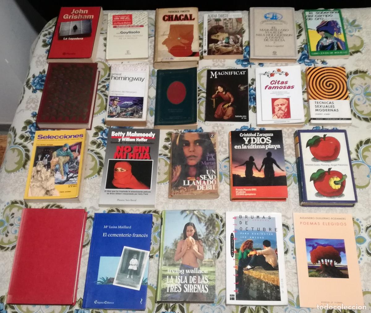 Libros de segunda mano: Lote de 22 libros variados (Lote 79)