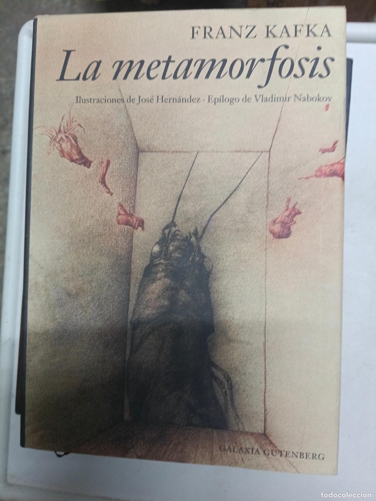 Libros de segunda mano: La metamorfosis, de Franz Kafka. Ilustraciones de Jos&eacute; Hern&aacute;ndez. Circulo.