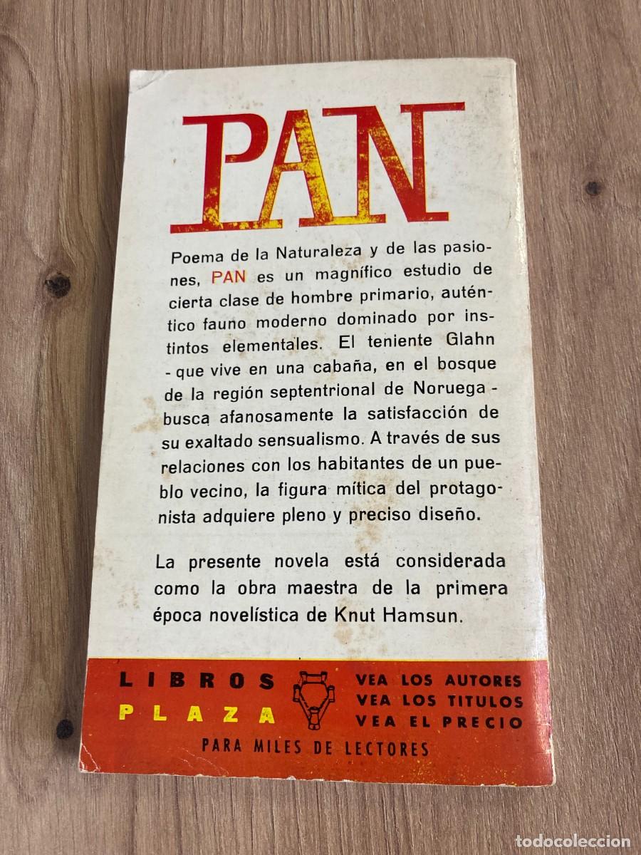 Libros de segunda mano: Pan Knut Hamsun Libro plaza - Foto 2