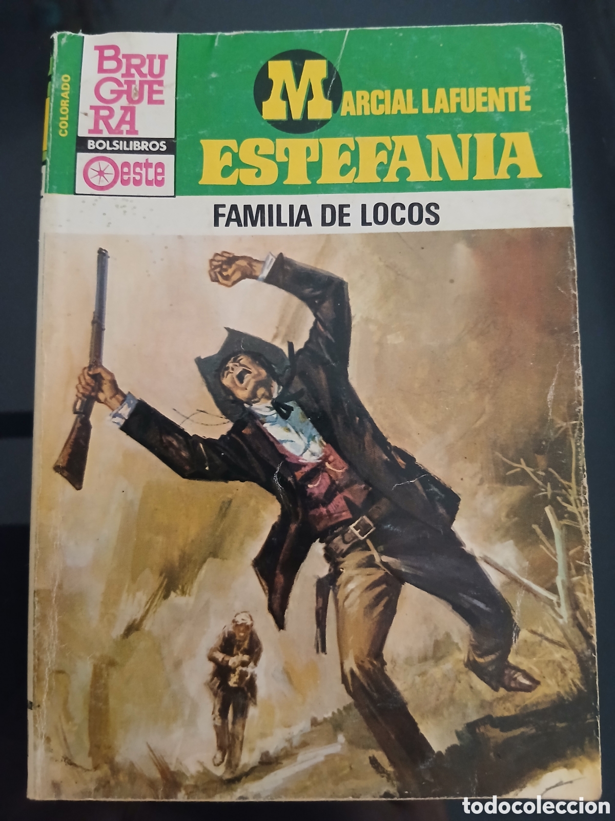 Libros de segunda mano: Novela Oeste: Familia de locos ( Estefania)