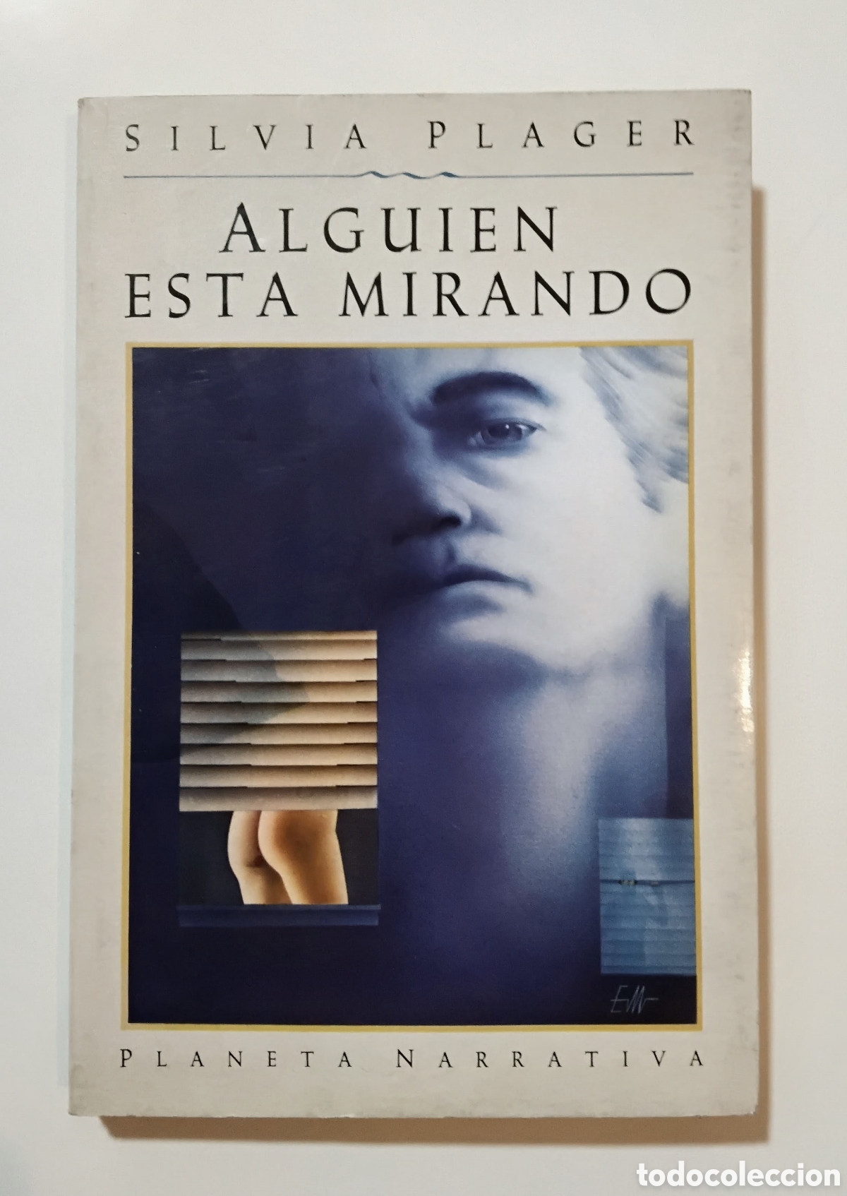 Libros de segunda mano: SILVIA PLAGER &mdash; ALGUIEN EST&Aacute; MIRANDO &mdash; PLANETA NARRATIVA &mdash; PRIMERA EDICI&Oacute;N - 1991