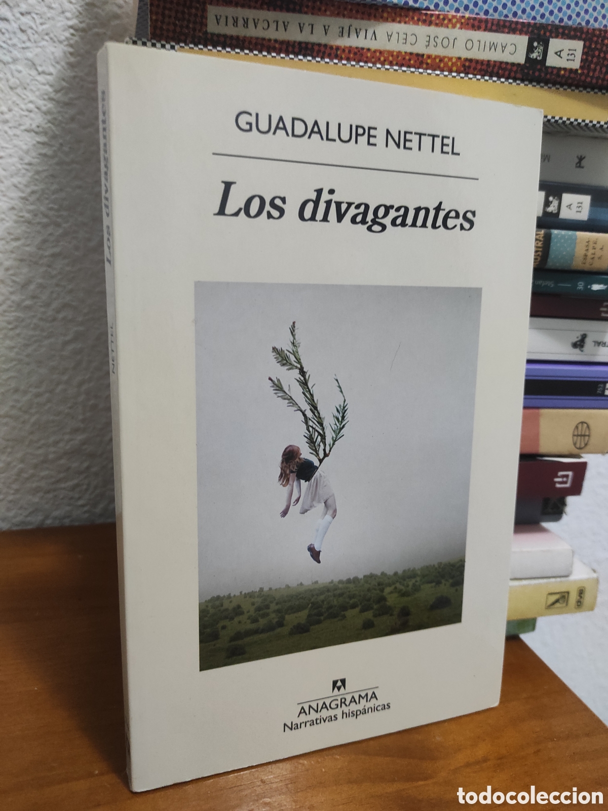 Libros de segunda mano: Los Divagantes - Guadalupe Nettel