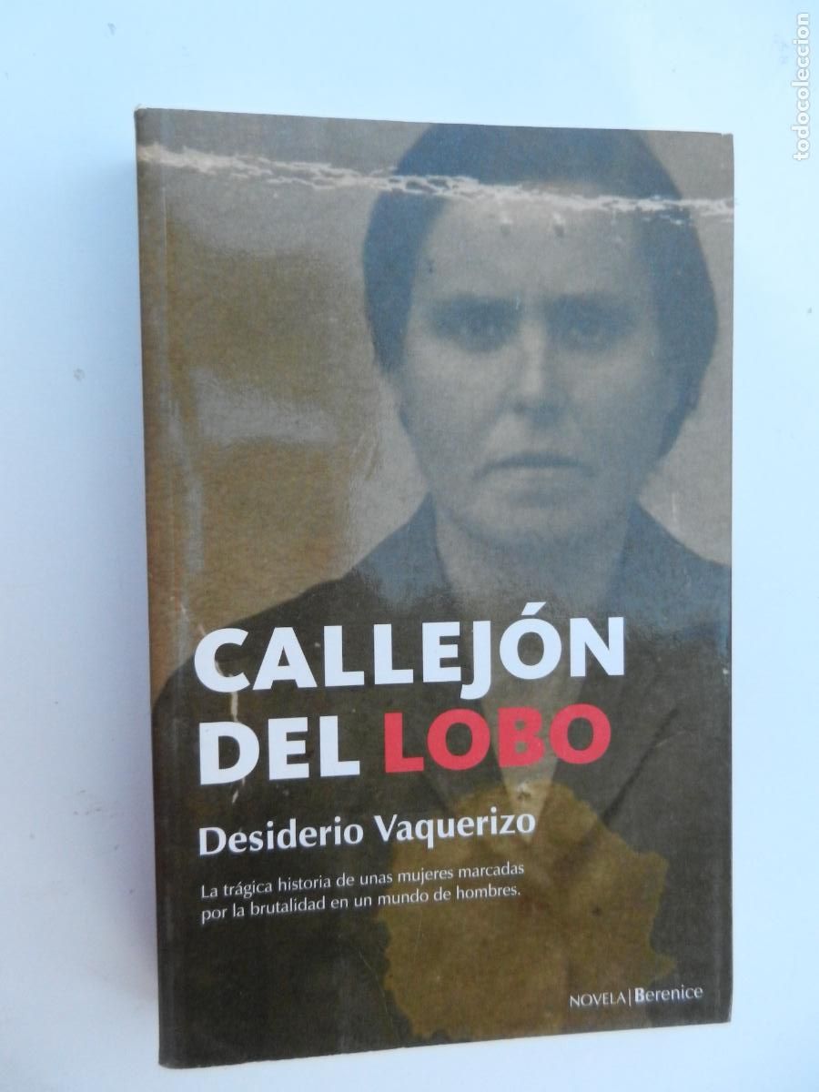 Libros de segunda mano: EL CALLEJ&Oacute;N LOBO - DESIDERIO VAQUERIZO - EDITORIAL BERENICE PRIMERA 2006.