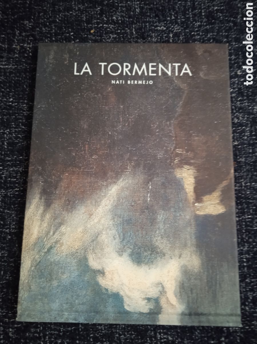 Libros de segunda mano: La tormenta / Nati Bermejo / &Oacute;scar Alonso Molina
