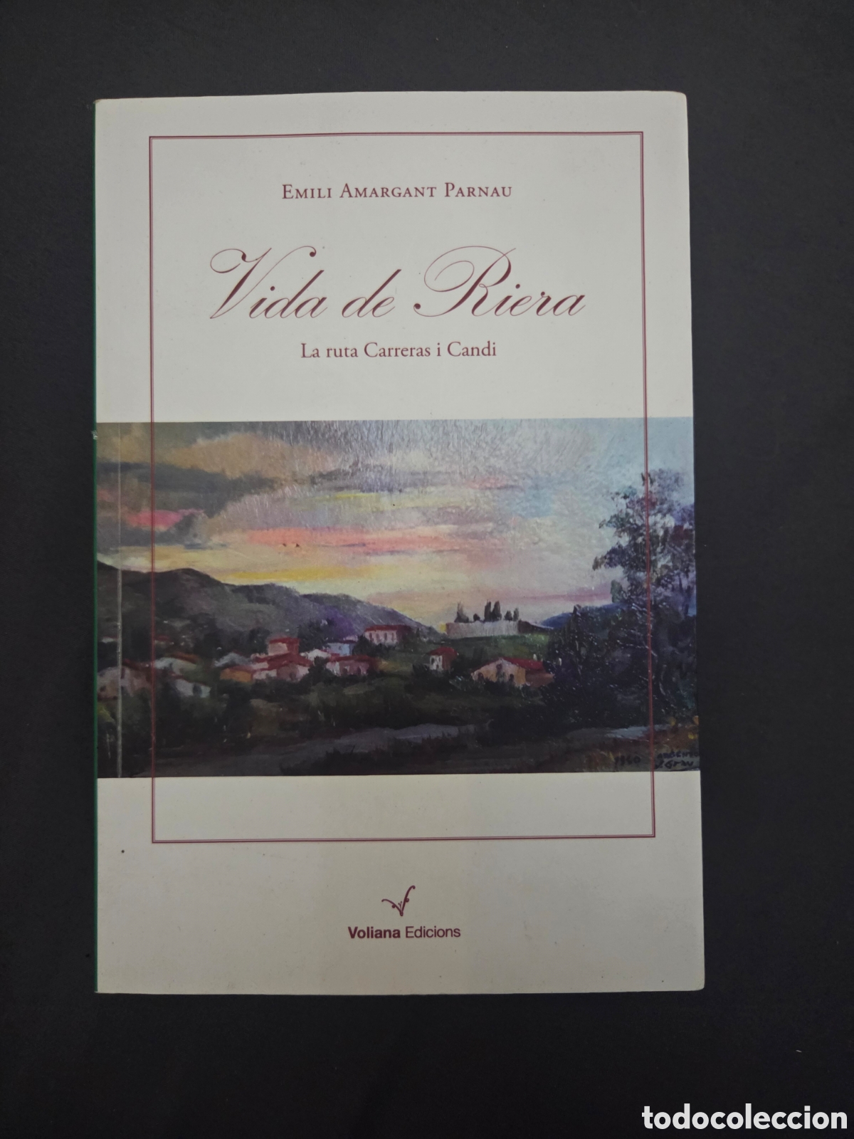 Libros de segunda mano: Vida de Riera. Emili Amargant Arnau.