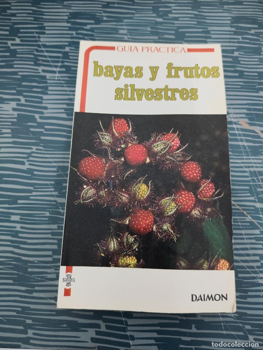 Libros de segunda mano: BAYAS Y FRUTOS SILVESTRES,GUIA PR&Aacute;CTICA,LUCIANO CRETTI,DAIMON EDITORIAL,1986,VER FOTOS Y SUMARIO.