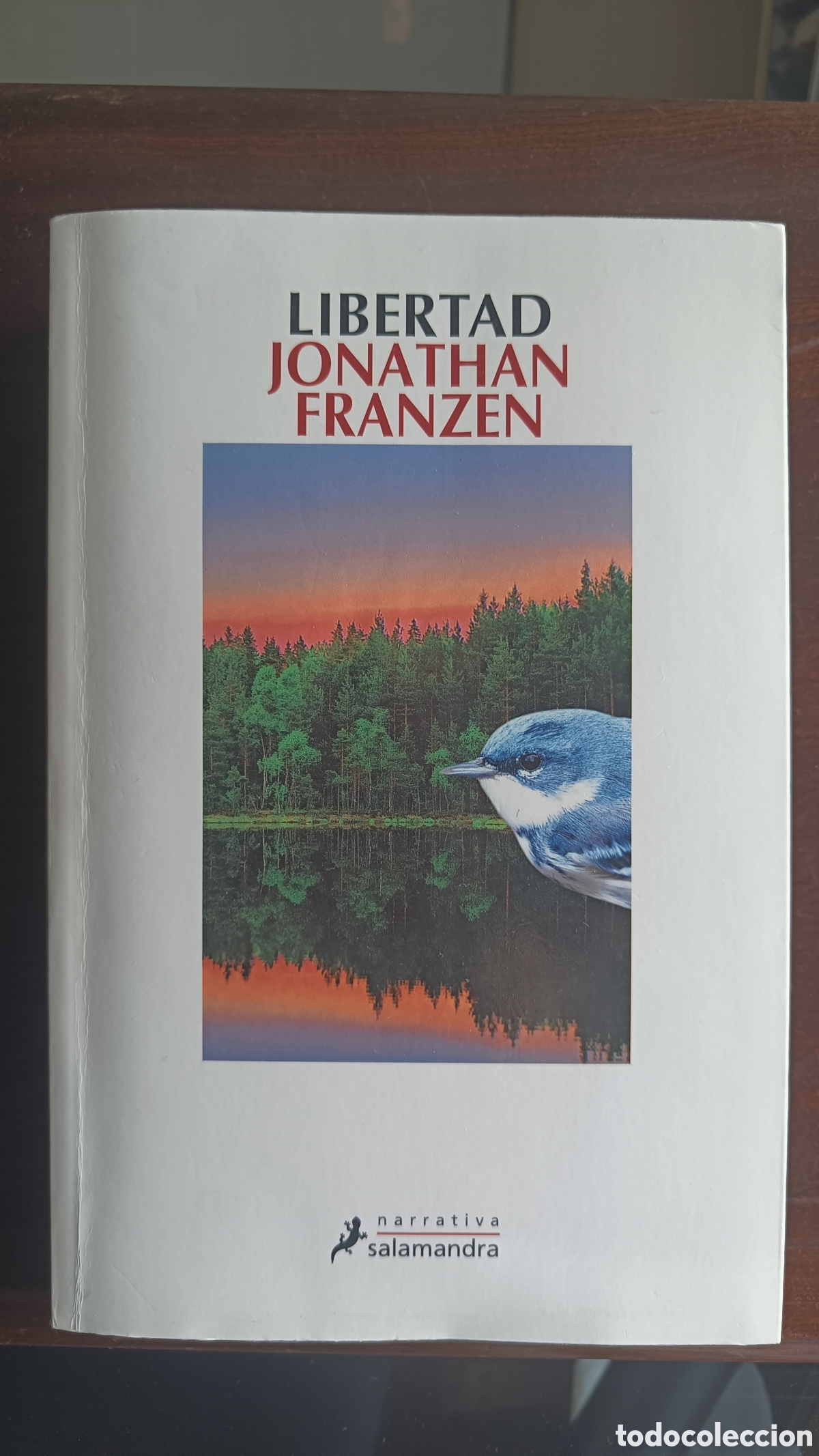 Libros de segunda mano: LIBERTAD.Jonathan Franzen.Ed.Salamandra Narrativa
