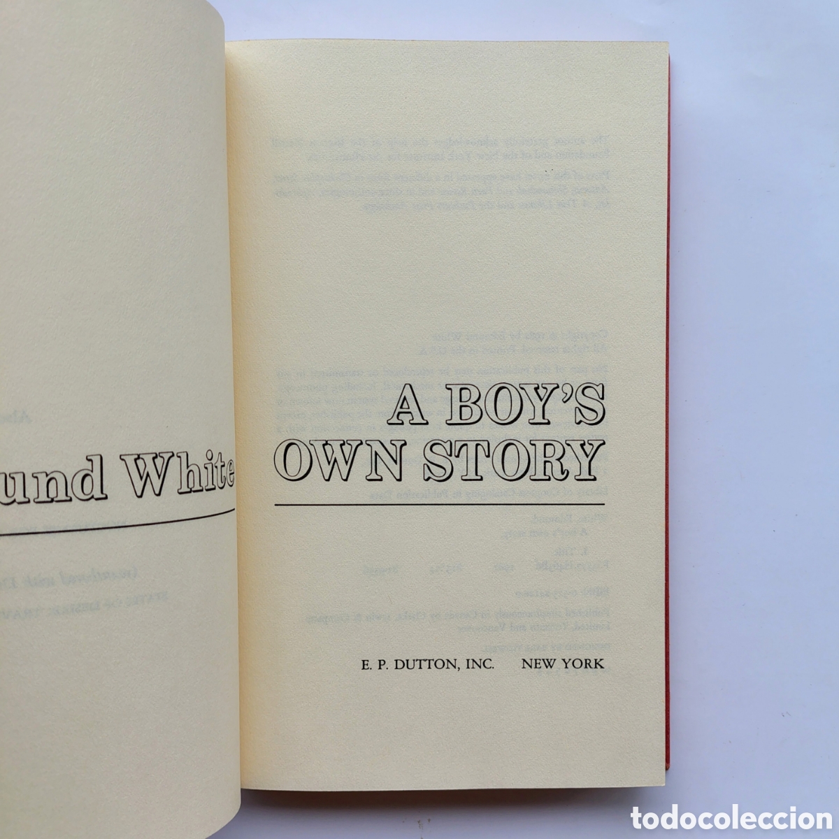Libros de segunda mano: A Boy&rsquo;s Own Story &ndash; Edmund White | Hardcover First Edition (1982)