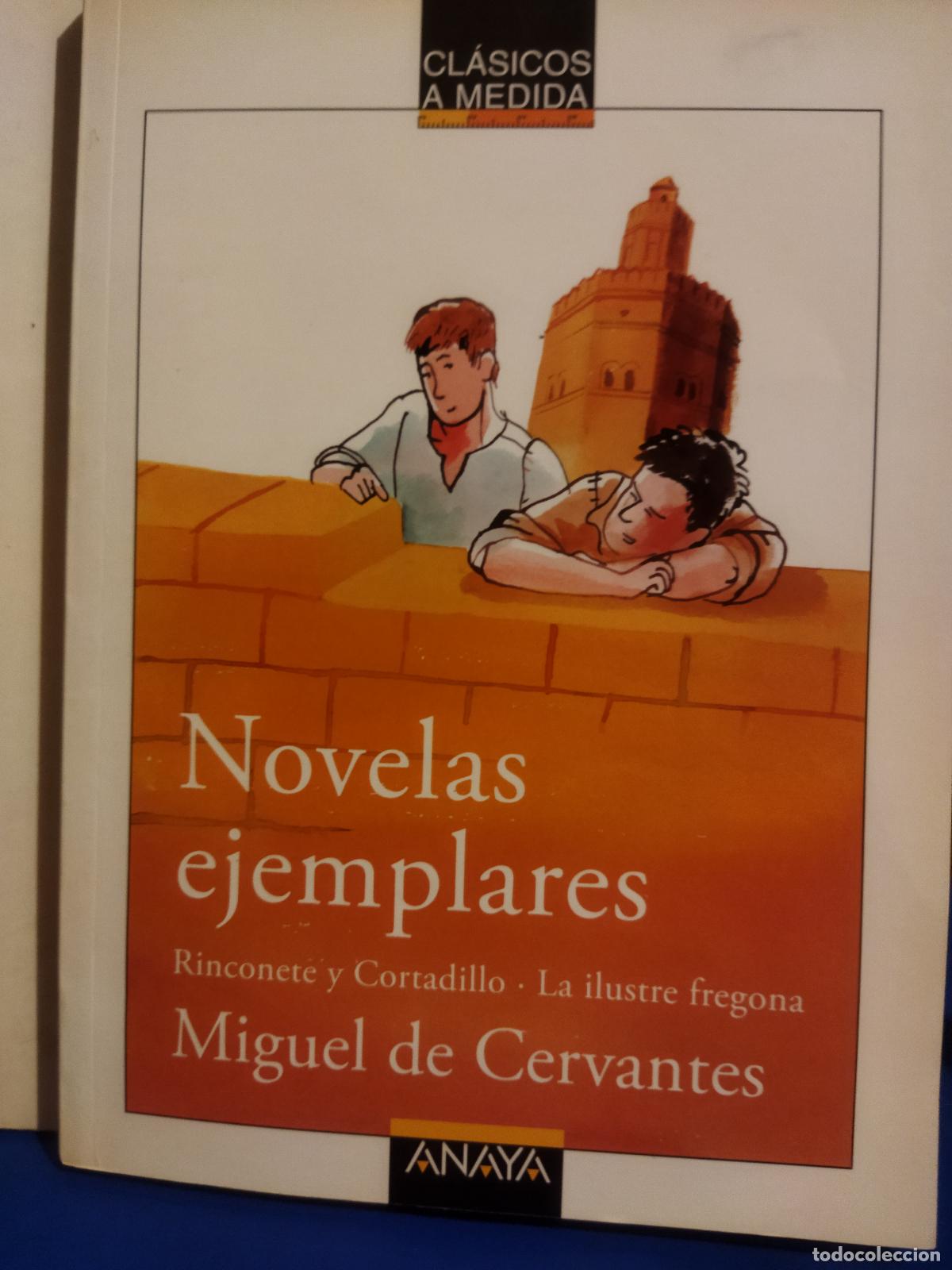Libros de segunda mano: Novelas ejemplares Miguel de Cervantes