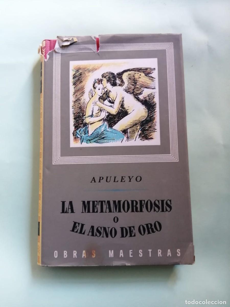 Libros de segunda mano: LA METAMORFOSIS o EL ASNO DE ORO (APULEYO)
