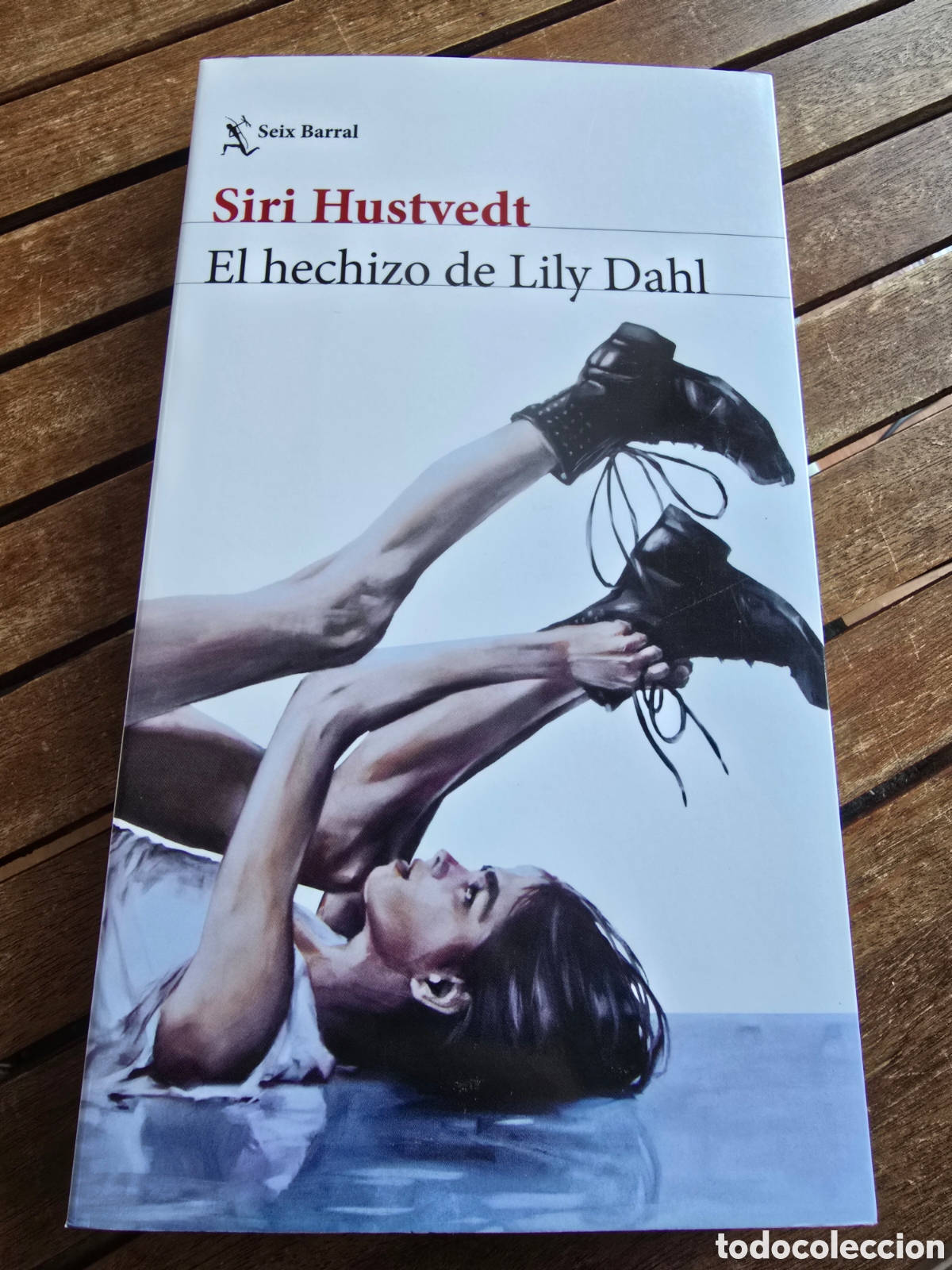Libros de segunda mano: El hechizo de Lily Dahl Hustvedt, Siri Editorial SEIX BARRAL 2025 novela