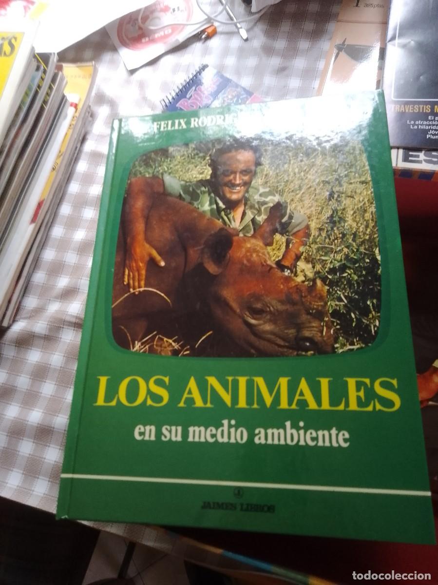 Libros de segunda mano: Los animales en su medio ambiente F&eacute;lix Rodr&iacute;guez de la fuente