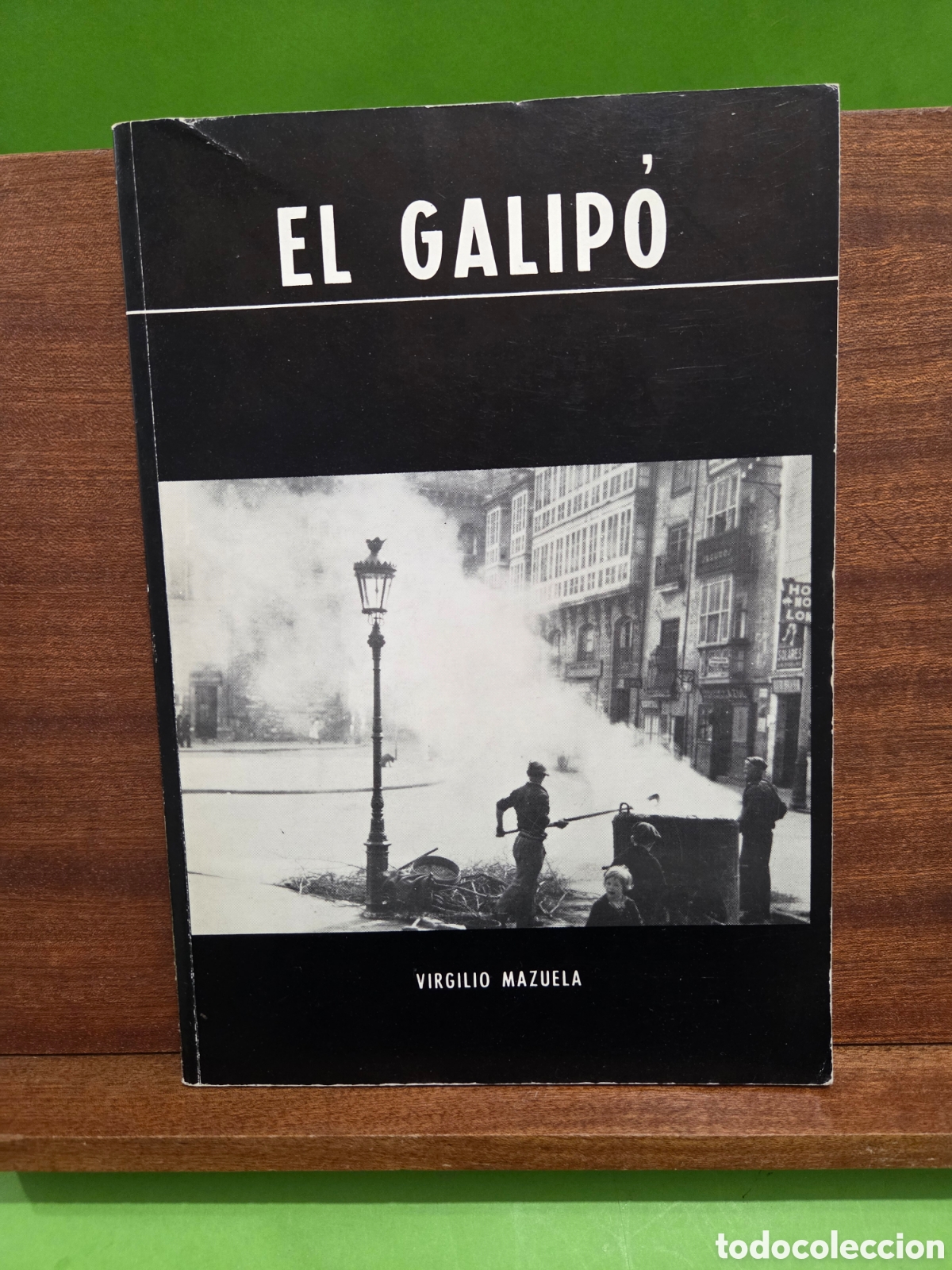 Libros de segunda mano: VIRGILIO MAZUELA...&rdquo;&rdquo;EL GALIP&Oacute;&rdquo;&rdquo;...(LA INCREIBLE VIDA DE LA TIS VISI)...BURGOS...1988...