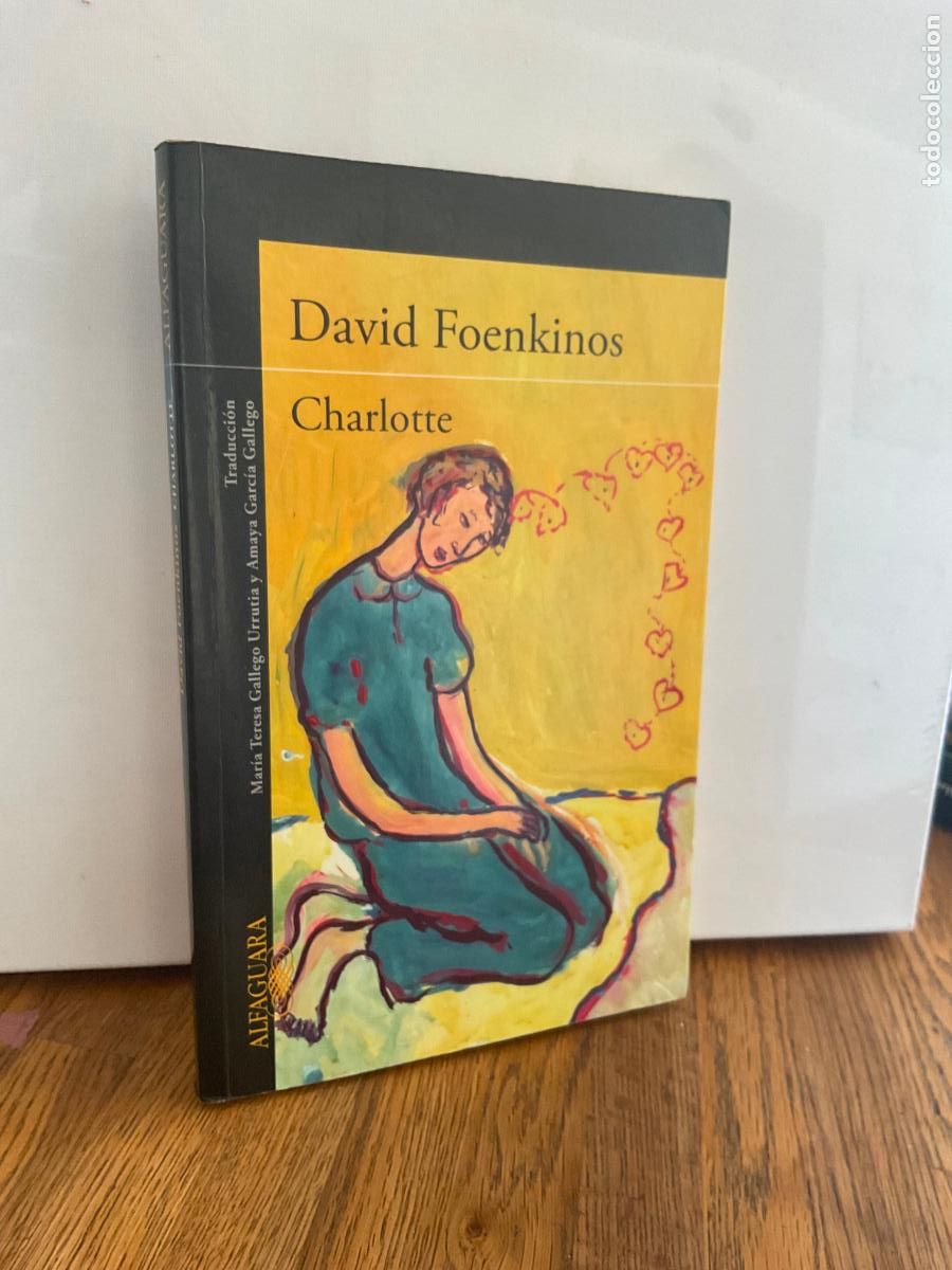 Libros de segunda mano: CHARLOTTE - DAVID FOENKINOS - ALFAGUARA / FORMATO GRANDE - MUY BUEN ESTADO