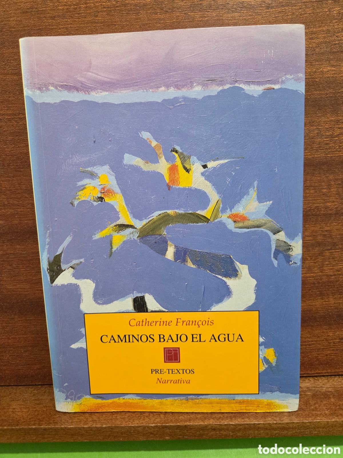 Libros de segunda mano: &rdquo;&rdquo;CAMINOS BAJO EL AGUA&rdquo;&rdquo;...CATHERINE FRAN&Ccedil;OIS....PRE-TEXTOX...1999...