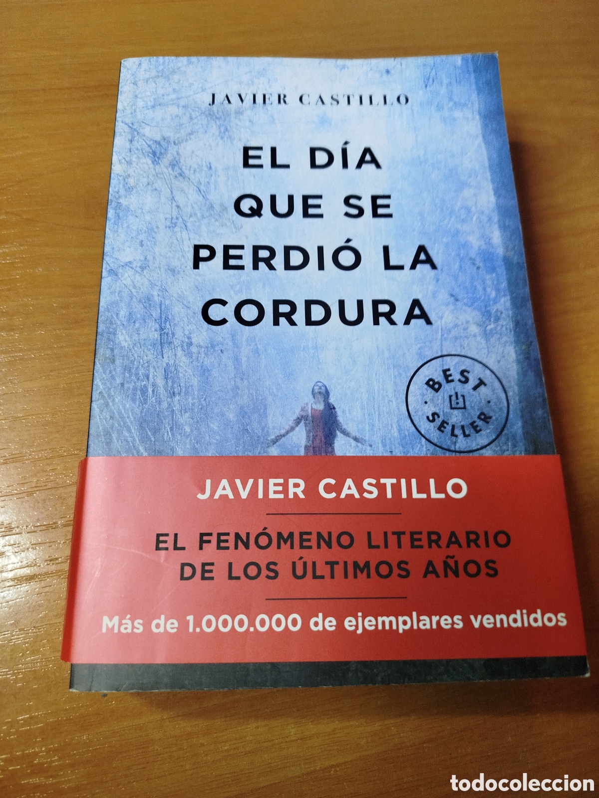 Libros de segunda mano: El d&iacute;a que se perdi&oacute; la cordura. Javier castillo