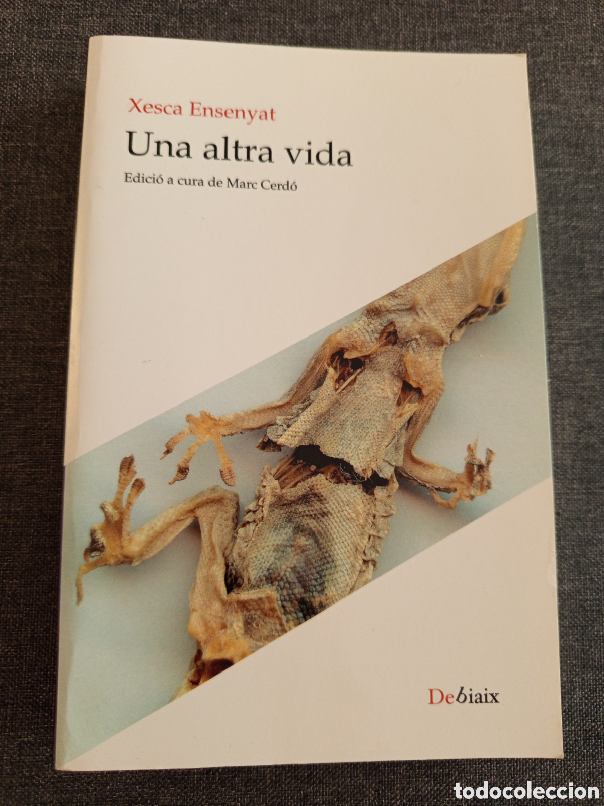 Libros de segunda mano: UNA ALTRA VIDA (XESCA ENSENYAT)