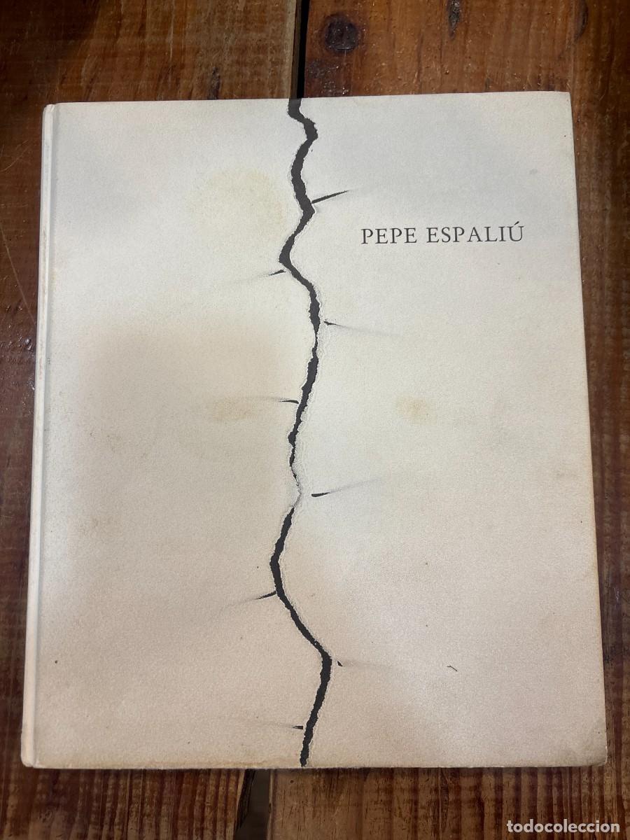 Libros de segunda mano: Pepe Espali&uacute; (Spanish Edition) TRSUP Aliaga, Juan Vicente & Adrian Searle & Marie-Laure Bernadac.