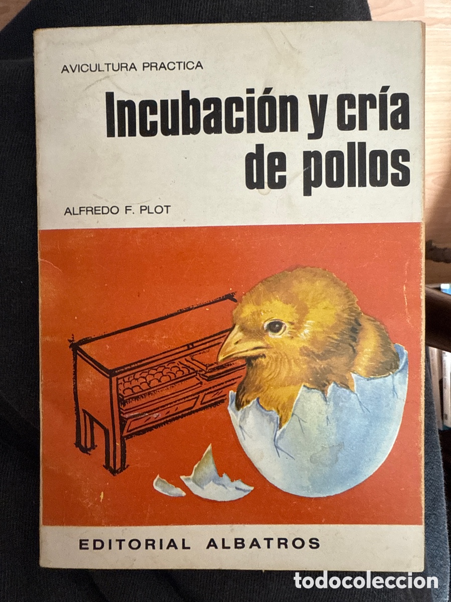 Libros de segunda mano: PLOT, Alfredo F. Incubaci&oacute;n y cr&iacute;a de pollos