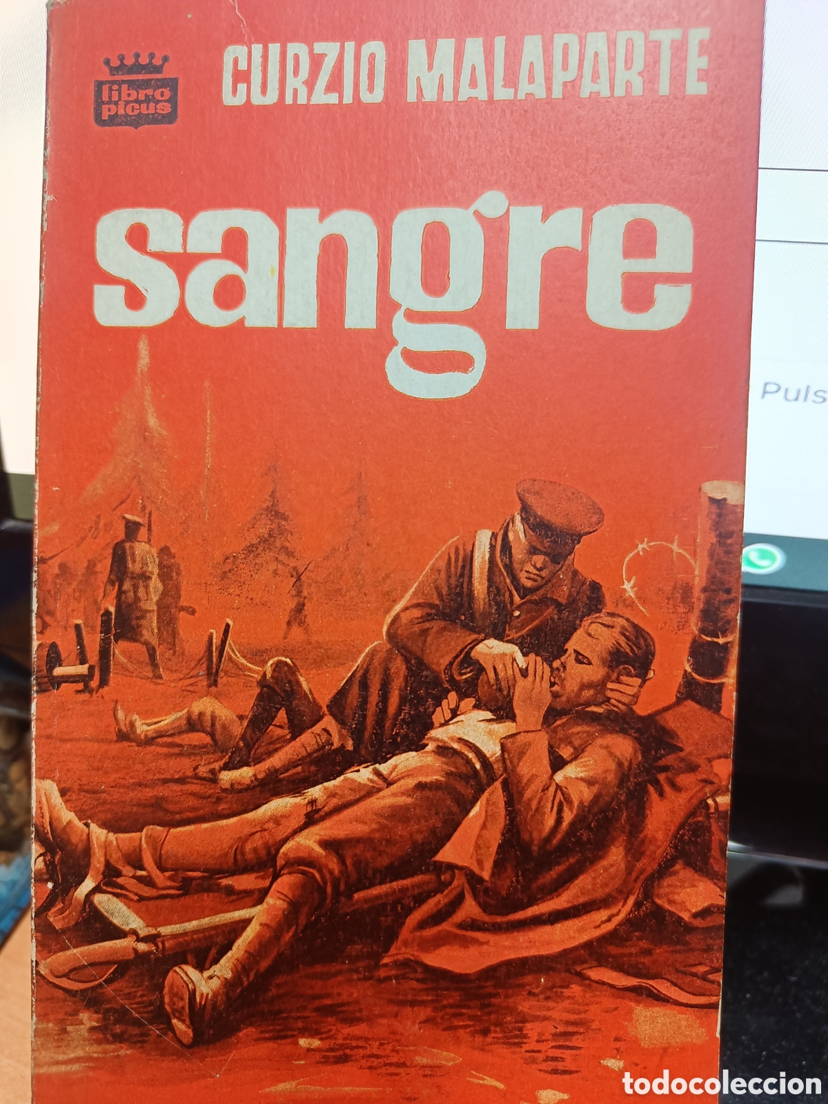 Libros de segunda mano: SANGRE. CURZIO MALAPARTE.