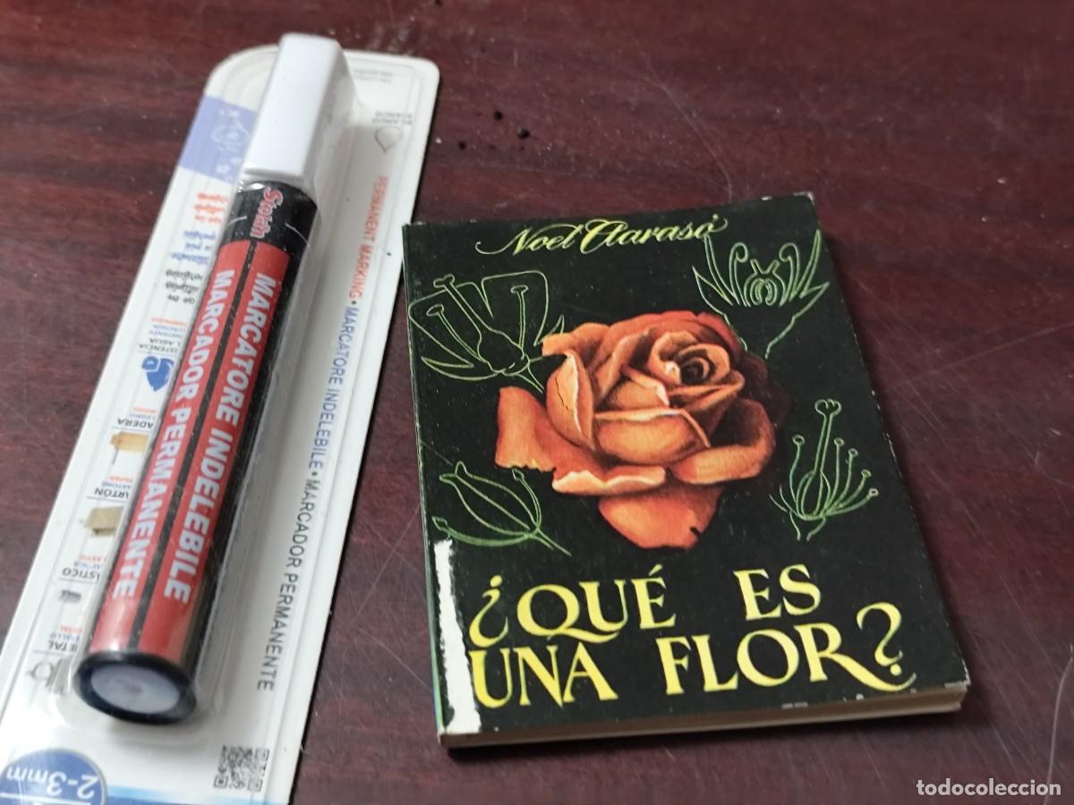 Libros de segunda mano: &iquest;Qu&eacute; ES UNA FLOR? / NOEL CLARASO / PU-GUI-11-PULGA / PULGA