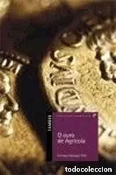 Libros de segunda mano: O Ouro de Agr&iacute;cola - V&aacute;zquez Pita, Enrique - Editorial Luis Vives (Edelvives) - Catavento, N&ordm; 7